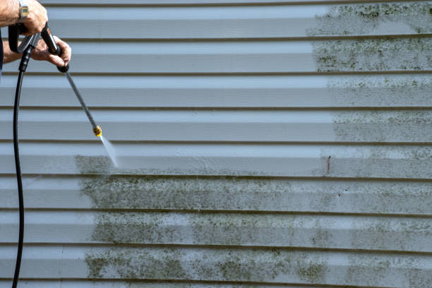 Best Fascia and Soffit Installation  in Roxboro, NC