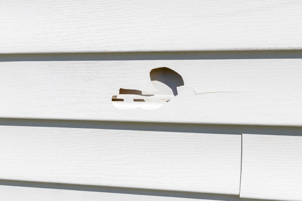 Siding Removal and Disposal in Roxboro, NC