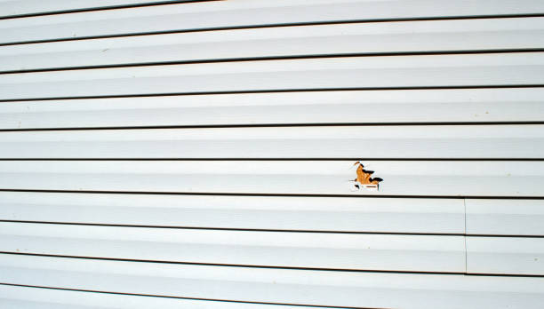 Best James Hardie Siding  in Roxboro, NC