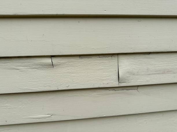 Best Custom Trim and Detailing for Siding  in Roxboro, NC